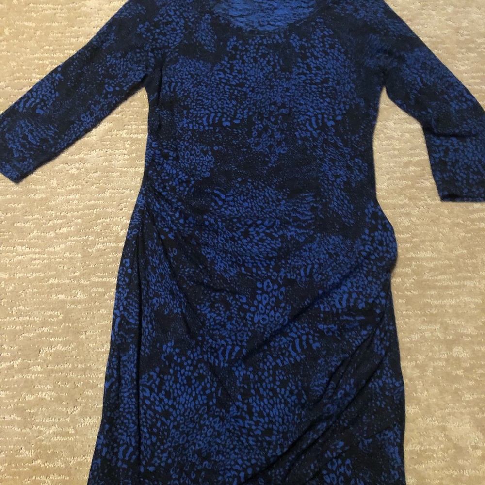 Express Blue/Black Side Ruched Dress